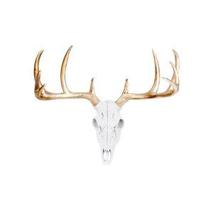 Wall Charmers Large White + Gold Antler Faux Deer Skull Decor - 21 Inch Faux😒